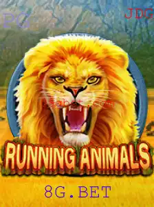 RunningAnimals: Uma Experiência de Jogo Inovadora com 8G.BET